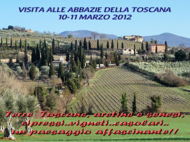 P1090804.jpg - Terre Toscane, Aretine e Senesi:  paesaggi affascinanti!