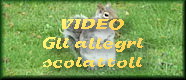 VIDEO SCOIATTOLI DI KENSINGTON