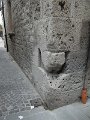 SAM_6837