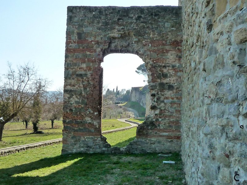 P1090808.jpg - Prati verdeggianti, e dappertutto ulivi e cipressi