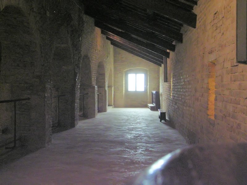 rimg0479.jpg