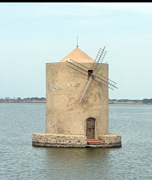 p1010525.jpg