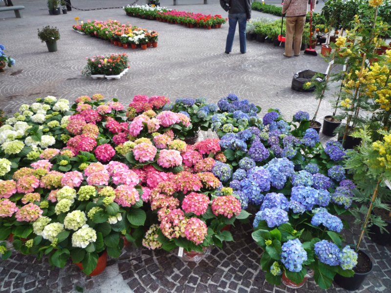 p1010633.jpg