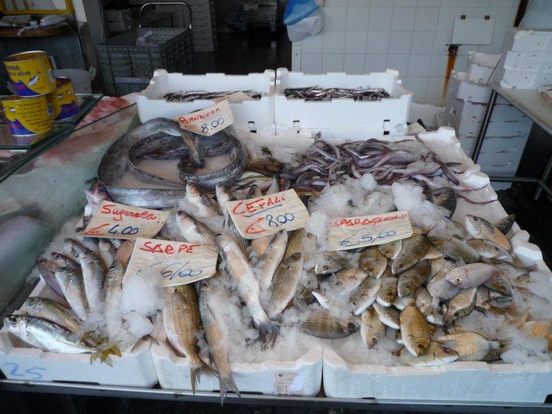p1010642.jpg