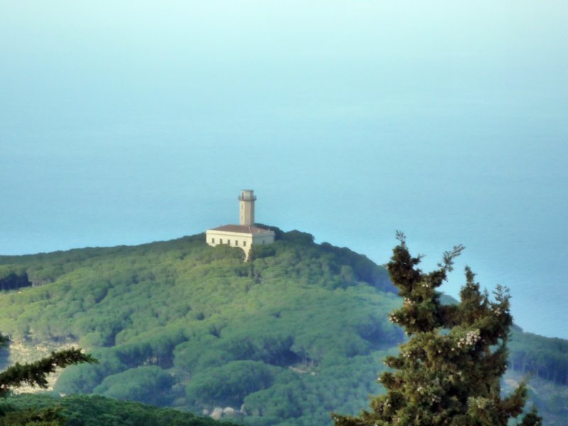 p1010732.jpg