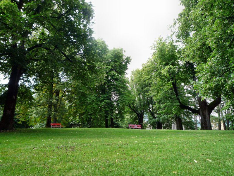 p1030040.jpg