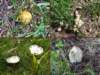 p1030225_small.jpg