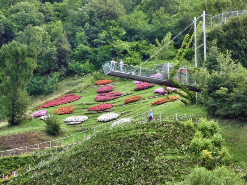 p1030345.jpg