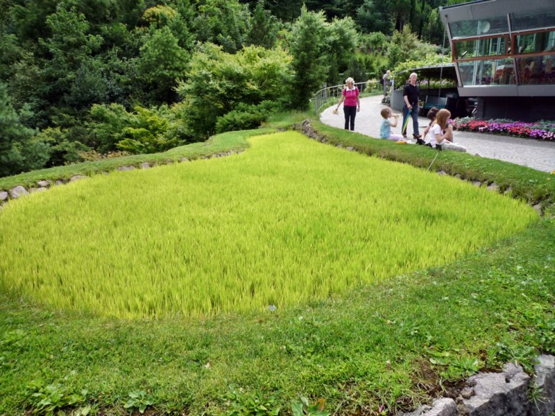 p1030346.jpg