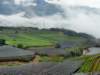 p1030415_small.jpg