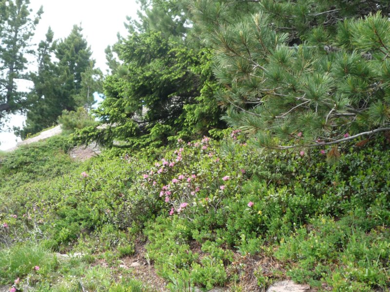 p1030440.jpg