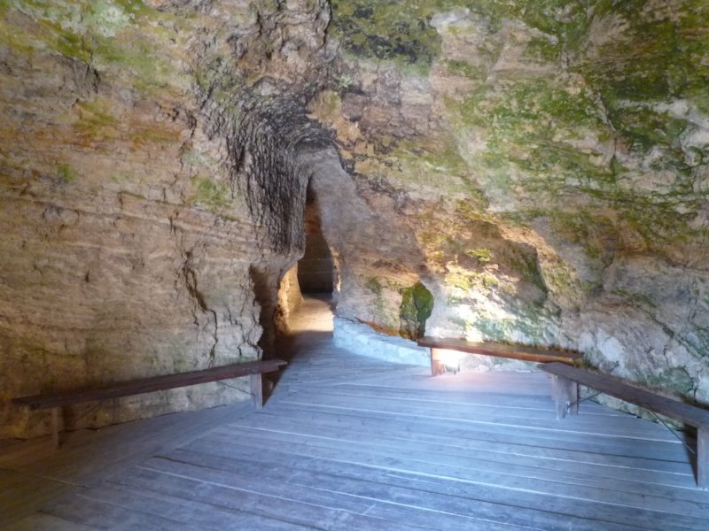 photo11.jpg