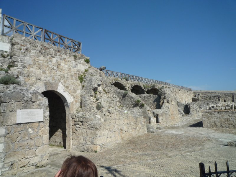 photo14.jpg