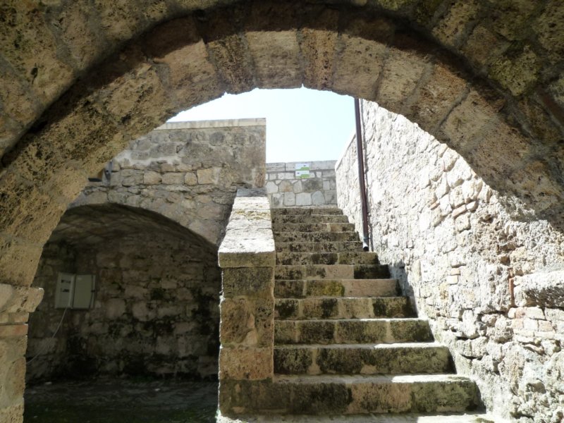 photo31.jpg