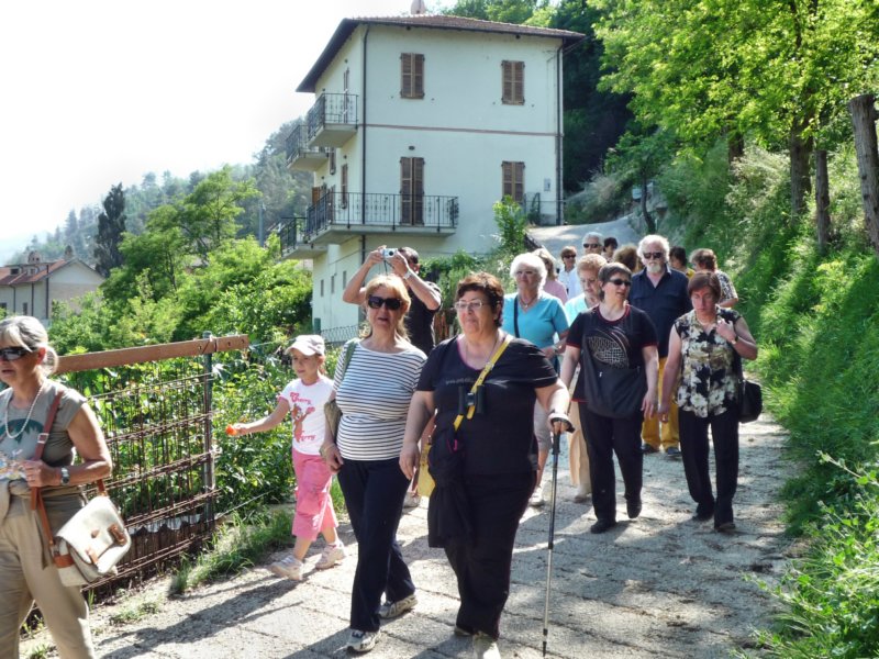 p1020716.jpg