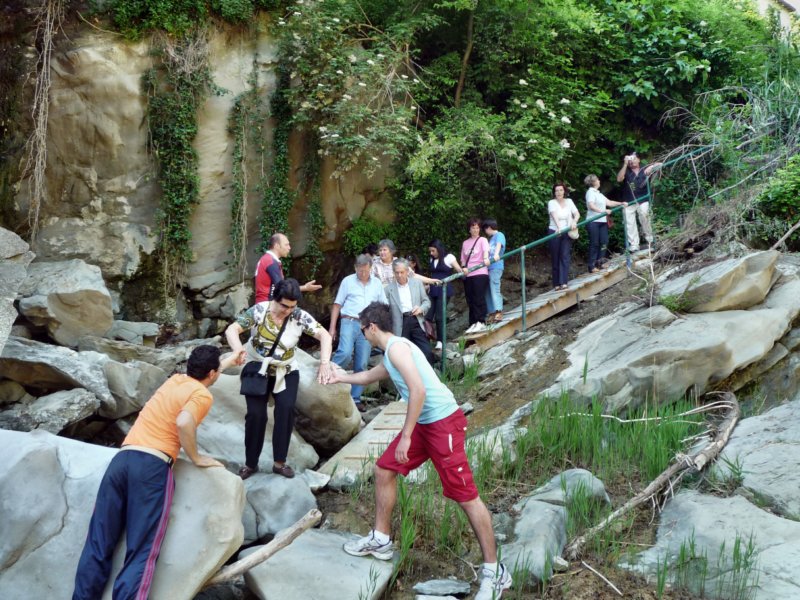 p1020733.jpg