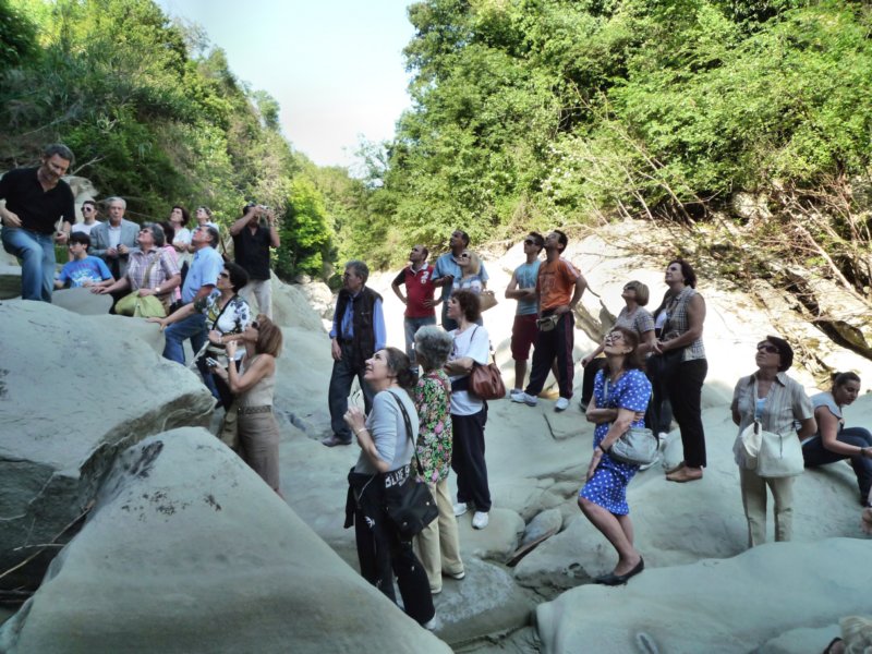 p1020739.jpg