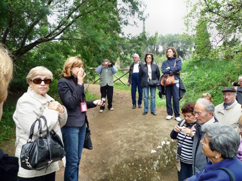 p1070628.jpg