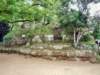 p1070654_small.jpg