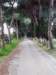 p1070698_small.jpg