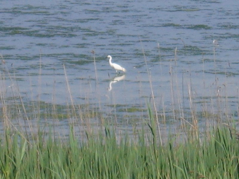 img_4861.jpg