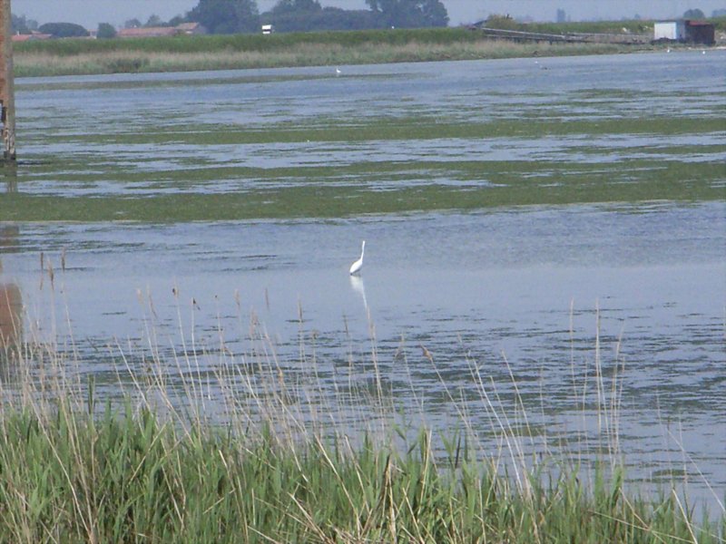 rimg0068.jpg