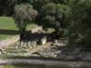 olimpiadscf0037_small.jpg