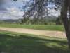 olimpiadscf0040_small.jpg