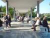 olimpiap1070798_small.jpg