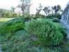 olimpiap1070799_small.jpg