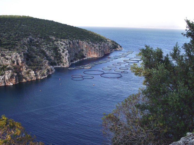 pnaatenedscf0132.jpg