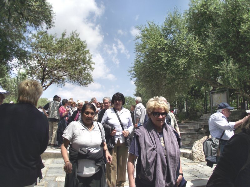 pnacropolidscf0165.jpg