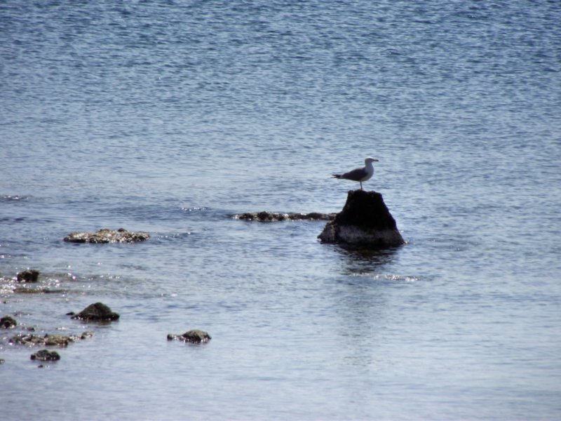 pncsouniondscf0191.jpg