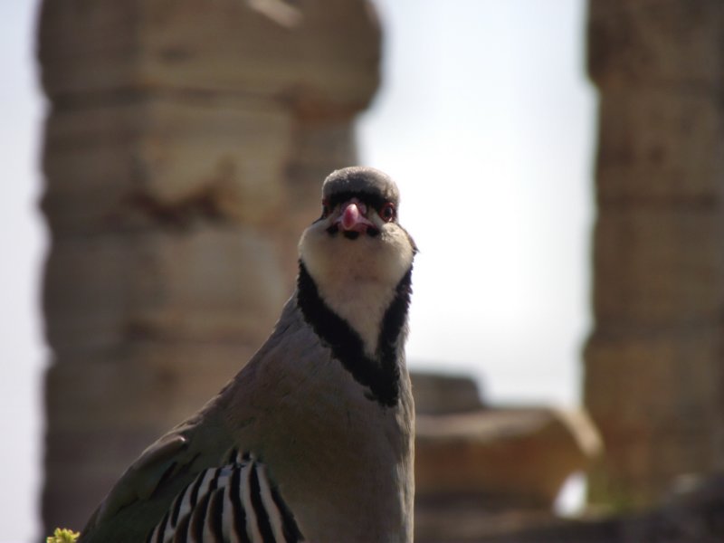 pncsouniondscf0195.jpg