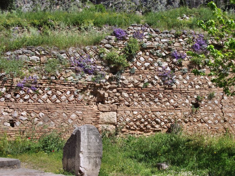 pndelphiidscf0243.jpg
