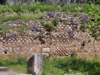 pndelphiidscf0243_small.jpg