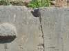 pndelphiip1070993_small.jpg