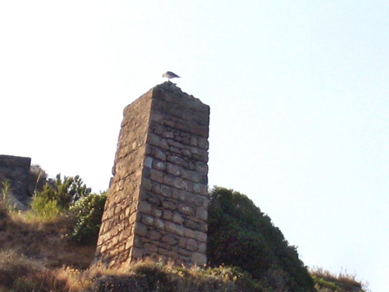 img_5739.jpg