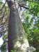 img_5856_small.jpg