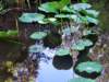 img_5921_small.jpg