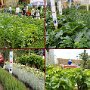 ... per la cura delle piccole parcelle di terreno all'esterno ...