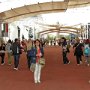 La visita all'Expop è terminata, siamo tutti stanchissimi, ma molto soddisfatti
