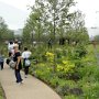 ... ed i giardini di frutta, fiori ed erbe aromatiche al I° piano
