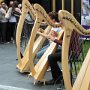 Molti gli artisti davanti ai padiglioni