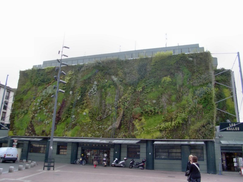 rimg0008.jpg