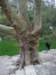 rimg0016_small.jpg