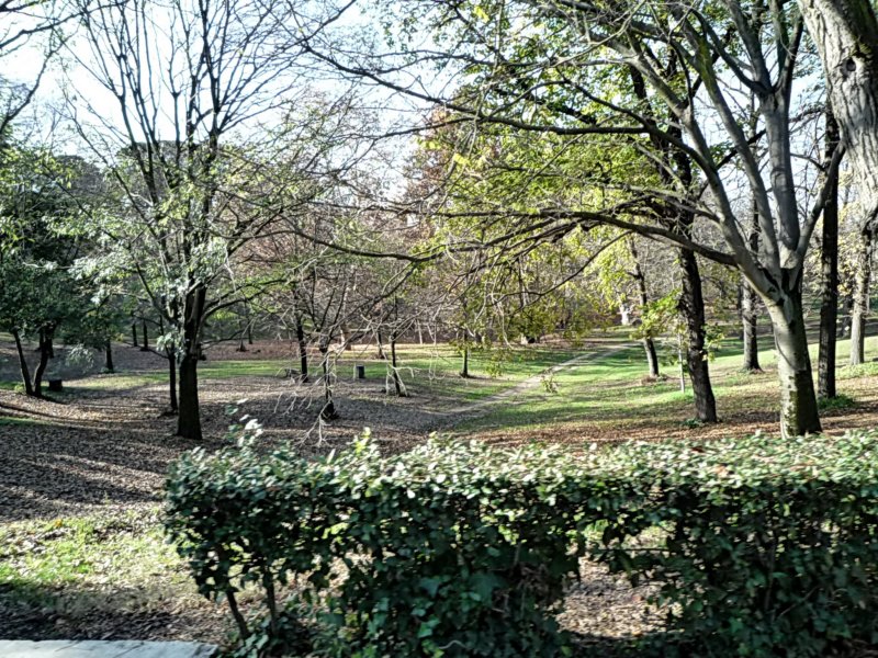 p1030866.jpg