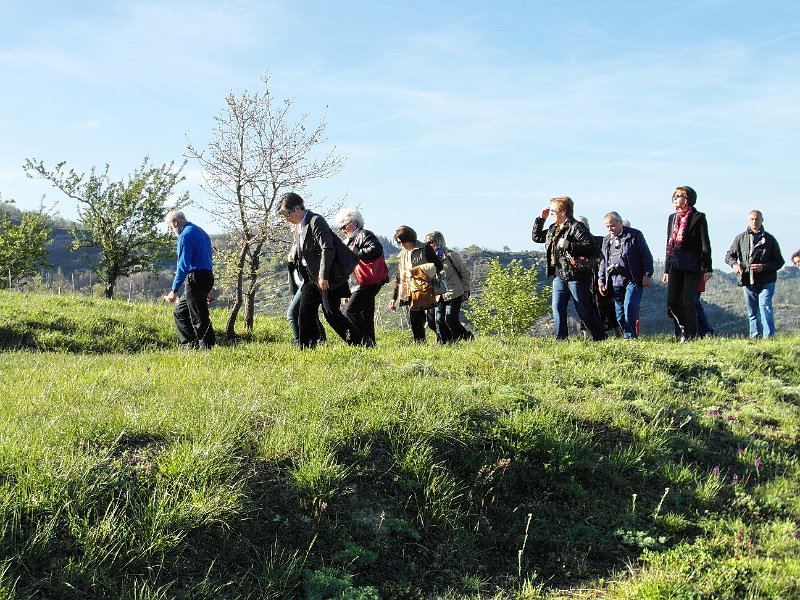 SAM_0769.jpg - .. una passeggiatina verso le "arnie" delle formiche ..