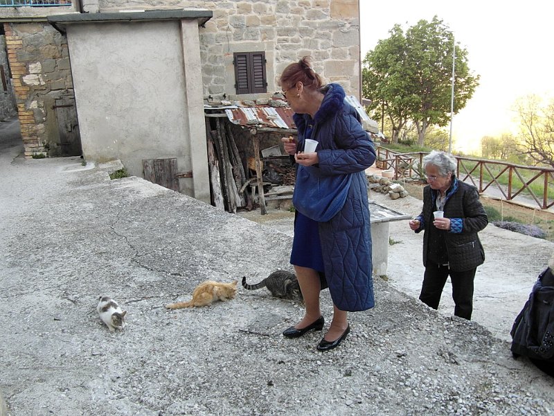 SAM_0812.jpg - .. la nostra amica Adriana non ha potuto fare a meno di condividere i biscottini con vari bei gatti del paese