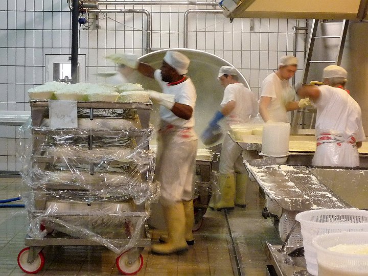 P1100426.jpg - Qui siamo al reparto di lavorazione della ricotta ..